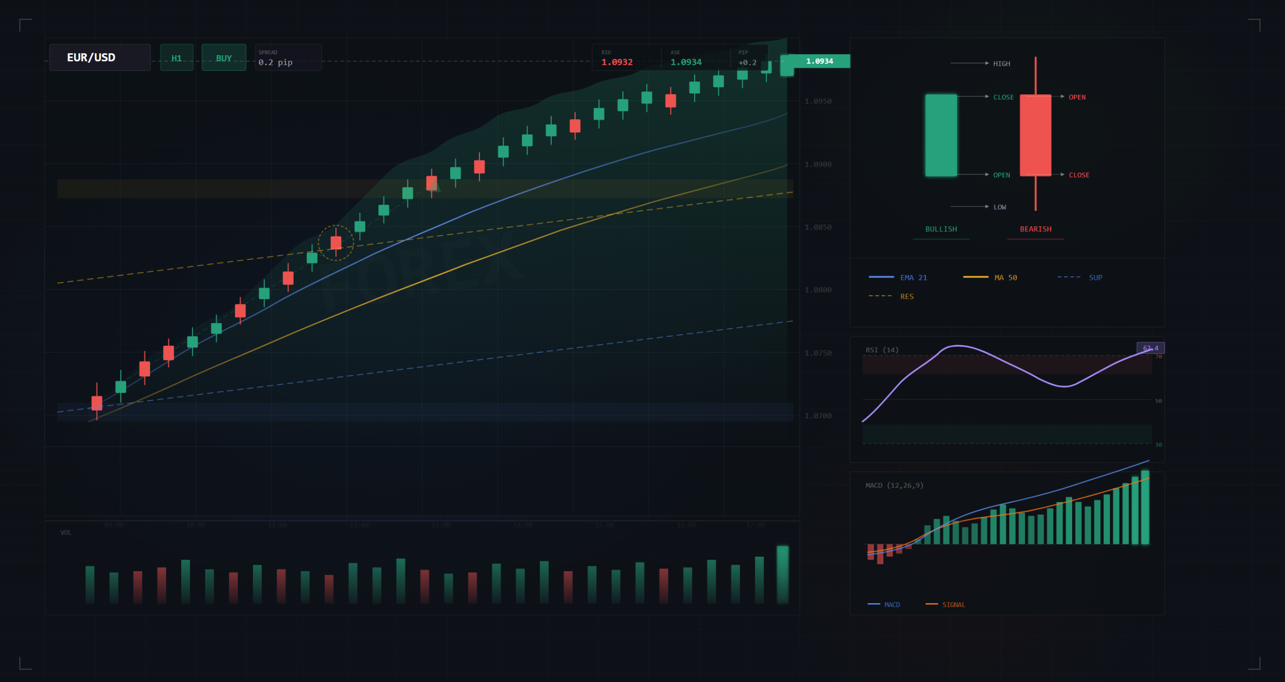 Read Forex Charts for Beginners
